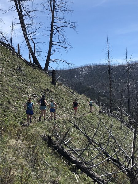 Enjoying the flow on Anderson Ridge.