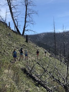 Enjoying the flow on Anderson Ridge.