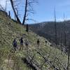 Enjoying the flow on Anderson Ridge.