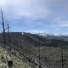 Dead trees. Pretty mountains. Clear trails in June (surprising).