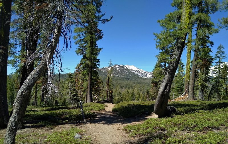 Reading Peak, 8,701 feet, that lies just east-southeast of Lassen Peak, is seen from high on Echo Lake/Twin Lakes Trail when looking southwest. Lassen Peak, 10,457 feet, is the snowy mass that runs off the picture on the right.