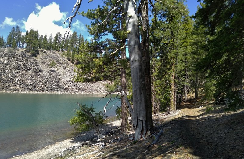 Butte Lake to Snag Lake Trail (East) runs along Butte Lake in beautiful pine forest, for its northern 2.3 miles.