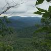 Wallalah Mountain Overlook