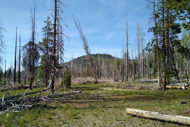 Badger Mountain, 6,973 ft., ahead when rxhing north on Nobles Emigrant Trail (East) in its western section.