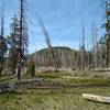 Badger Mountain, 6,973 ft., ahead when rxhing north on Nobles Emigrant Trail (East) in its western section.