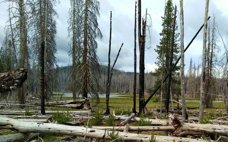 Tiny Soap Lake is seen through the trees about midway along Nobles Emigrant Trail (East).