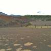 Looking across the volcanic sand, the Painted Dunes are on the left. The green area is a tiny seasonal wet area due to recent snow melt.  Mt. Hoffman, 7,833 ft., is on the left behind the Painted Dunes.