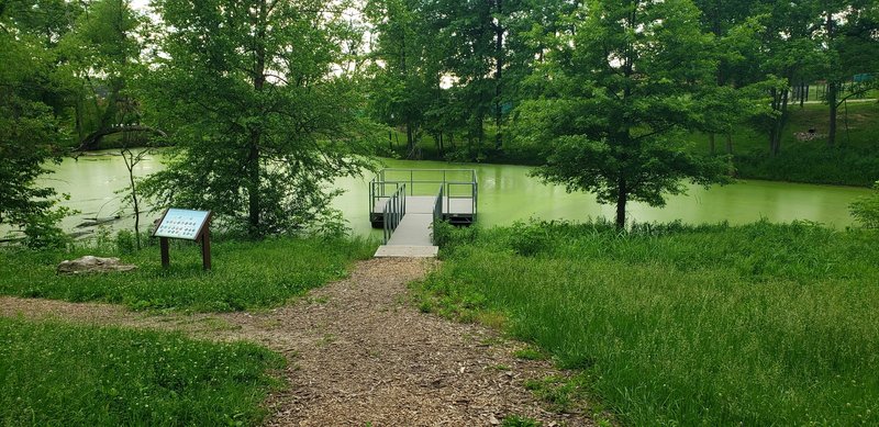 The famous green pond.