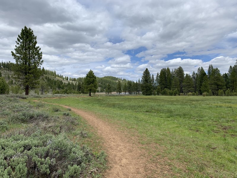 A view towards the northern end of Sagehen Creek Trail.