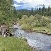 Sagehen Creek. Photo taken just after the trailhead.