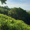 When does a field become a prairie?