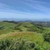 Looking northwest along the San Pablo Ridge Trail.