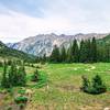 Beautiful mountain valley looking back towards O'Sullivan Peak, Twin Peaks, Dromedary Peak.