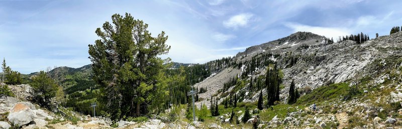 View of Mt. Millicent from the east.