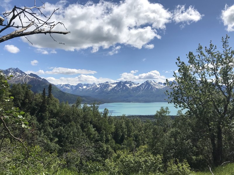 View of Currant Creek on the opposite shoreline on Lake Clark.