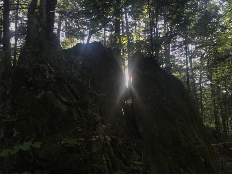 Sunlight through a rock crag.