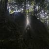 Sunlight through a rock crag.