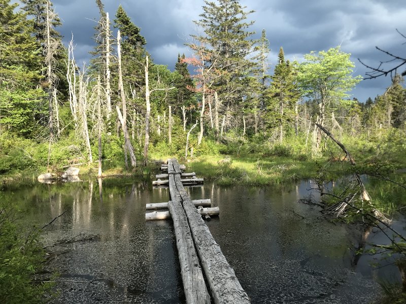 Through the swamp, as the storm rolls in