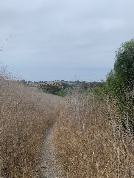 Gary's Gulch Trail