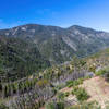 The first few miles from the trailhead are a little overgrown, but the trail is usually easy to follow