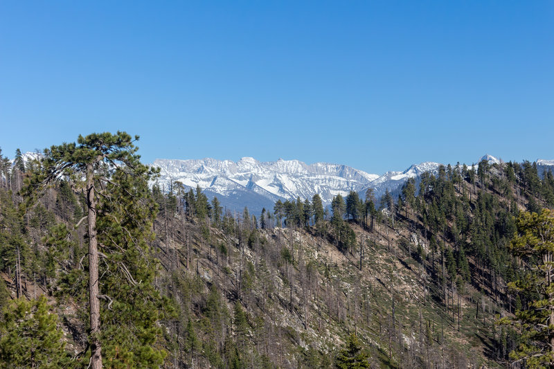 Snow covered mountains deep within Kings Canyon National Park