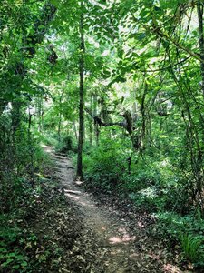 The trail as the incline begins on the north side
