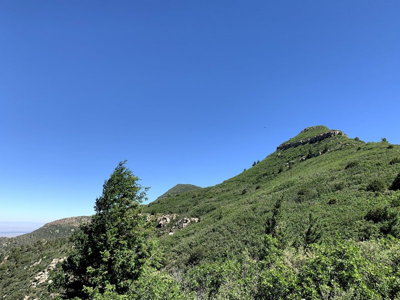 Mosca Peak