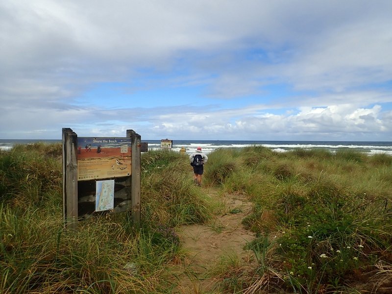 Reaching the beach at trail marker #113