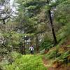 Passing through one of the tree islands along the trail