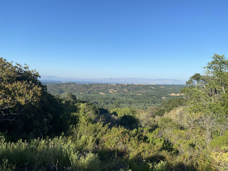 The view toward Palo Alto from the Schilling Lake Trail in Thornewood Open Space Preserve.