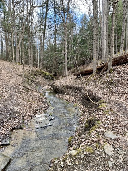 One of the many creek crossings on the Finger Lakes Trail.