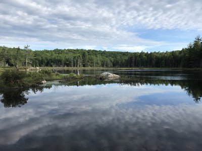 Sirene pond at the top of Great Brook.