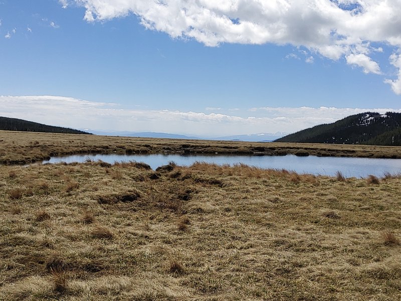 On the flat tops wilderness. Ridgeline trail to the right. halfway point.