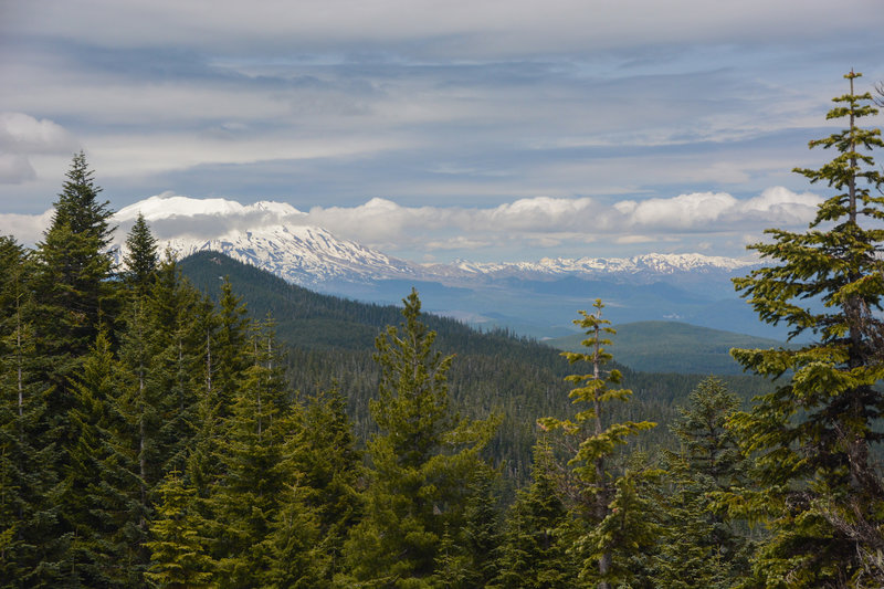 Mount St Helens from the summit of Observation Peak