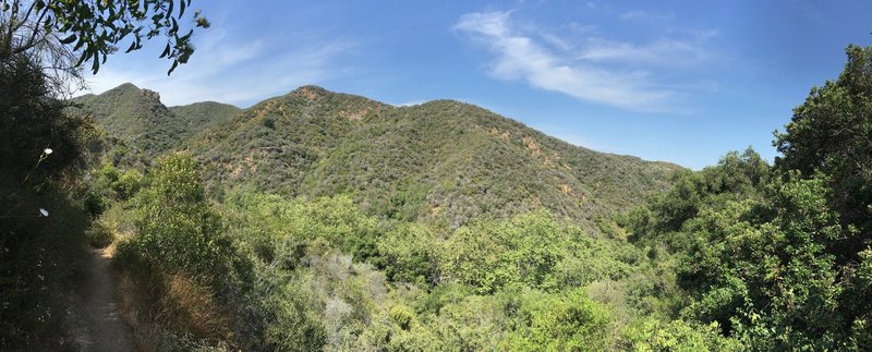 Looking to the east across Rivas Canyon