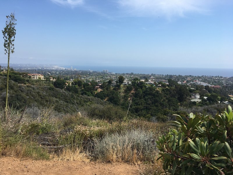 The ocean view, looking south to Santa Monica. Palos Verdes and Catalina are somewhere out there in the haze