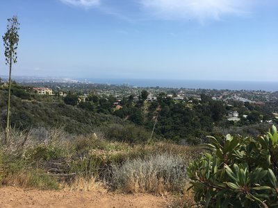 The ocean view, looking south to Santa Monica. Palos Verdes and Catalina are somewhere out there in the haze