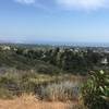 The ocean view, looking south to Santa Monica. Palos Verdes and Catalina are somewhere out there in the haze