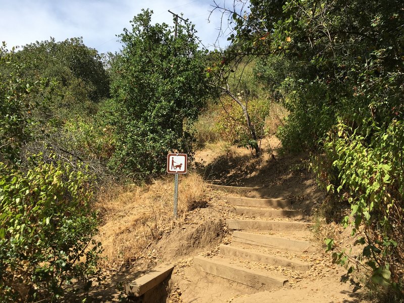 This way to Will Rogers State Park!