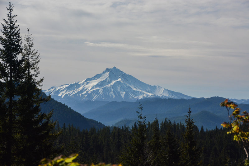 Nice views to Mount Jefferson on the way up to Beachie Saddle