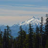 Mount Jefferson from the Mount Beachie Trail