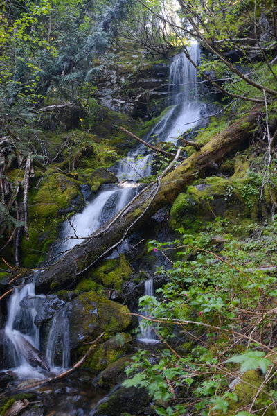 A small falls on Battle Ax Creek