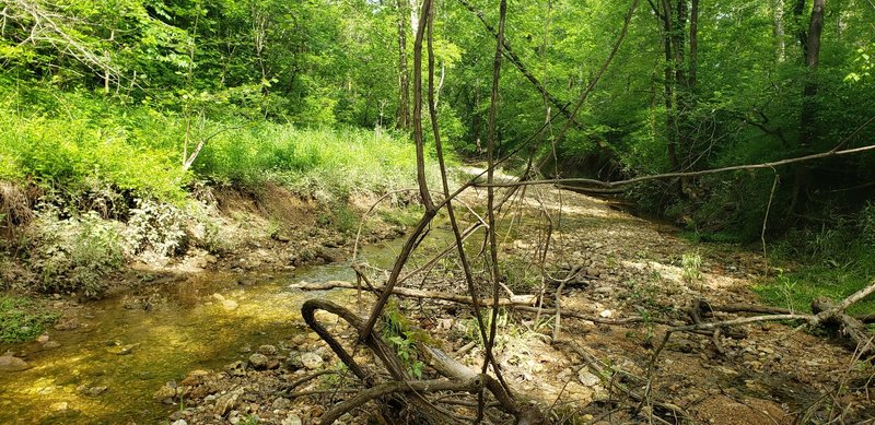 Early creek crossing