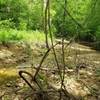 Early creek crossing