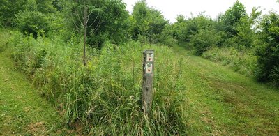 Intersection of Schwede Loop and connector to North Loop