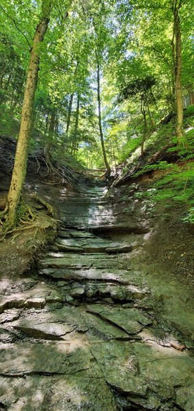 Dried waterfall on the eternal flame trail.