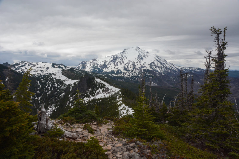 Jefferson Park and Mount Jefferson from the summit of Bear Point.