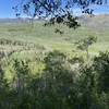 Horse Canyon Trail