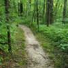 Much of the trail looks like this.  Flat and hard-pack dirt.