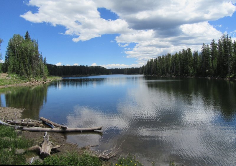 Looking down the east arm of Granby Reservoir 11. Older maps show this large lake used to be 3 smaller reservoirs.